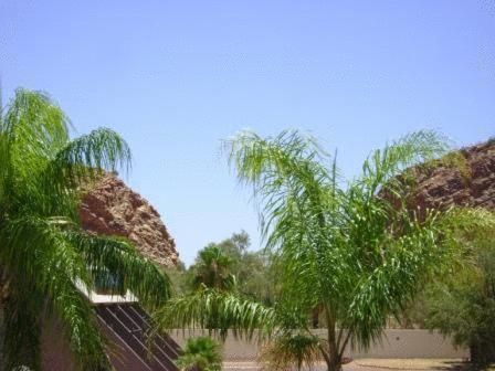 Alice Springs Airport Motel ภายนอก รูปภาพ